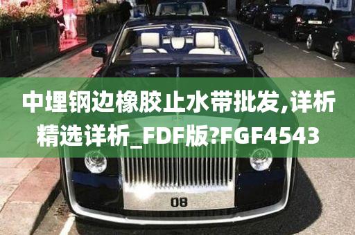 中埋钢边橡胶止水带批发,详析精选详析_FDF版?FGF4543