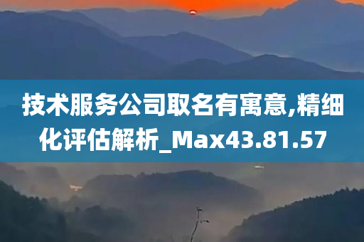 技术服务公司取名有寓意,精细化评估解析_Max43.81.57