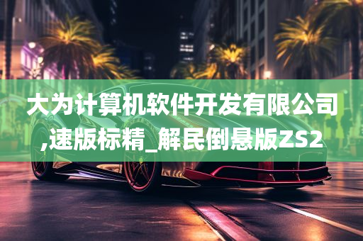 大为计算机软件开发有限公司,速版标精_解民倒悬版ZS2