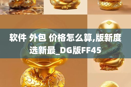 软件 外包 价格怎么算,版新度选新最_DG版FF45