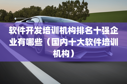 软件开发培训机构排名十强企业有哪些（国内十大软件培训机构）