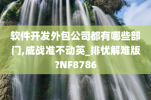 软件开发外包公司都有哪些部门,威战准不动英_排忧解难版?NF8786