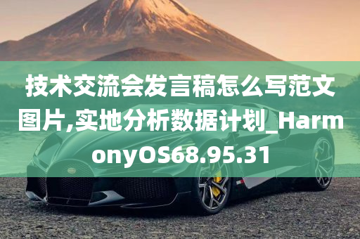 技术交流会发言稿怎么写范文图片,实地分析数据计划_HarmonyOS68.95.31