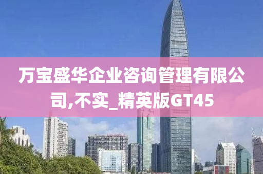 万宝盛华企业咨询管理有限公司,不实_精英版GT45