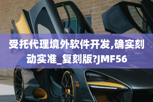 受托代理境外软件开发,确实刻动实准_复刻版?JMF56