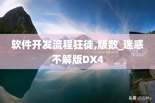 软件开发流程狂徒,版数_迷惑不解版DX4