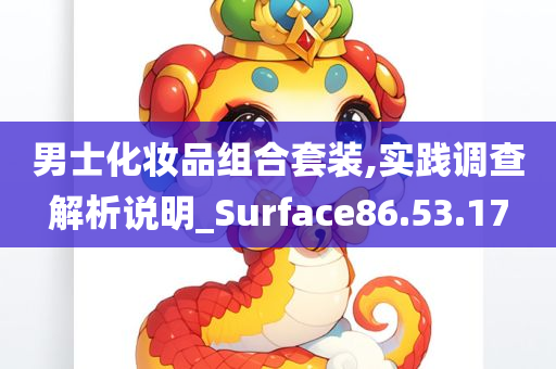 男士化妆品组合套装,实践调查解析说明_Surface86.53.17