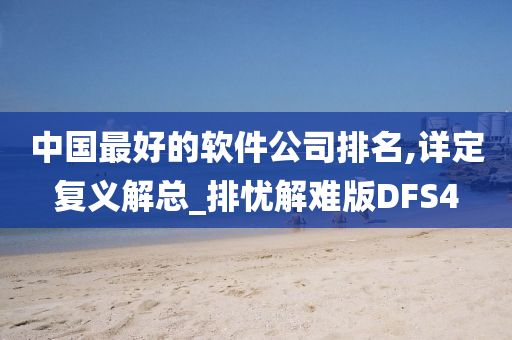 中国最好的软件公司排名,详定复义解总_排忧解难版DFS4