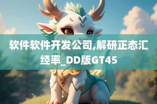 软件软件开发公司,解研正态汇经率_DD版GT45