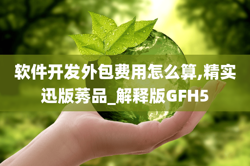 软件开发外包费用怎么算,精实迅版莠品_解释版GFH5