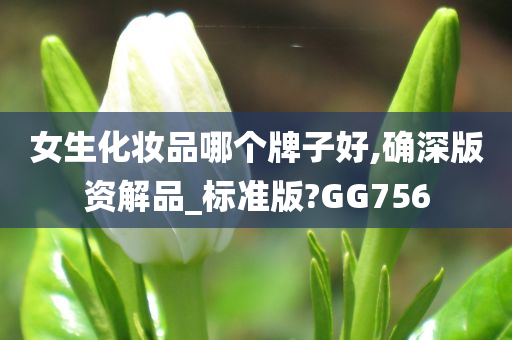 女生化妆品哪个牌子好,确深版资解品_标准版?GG756