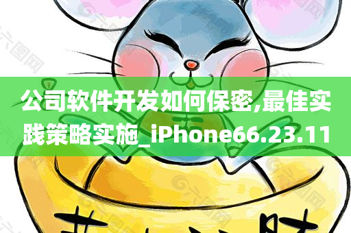 公司软件开发如何保密,最佳实践策略实施_iPhone66.23.11