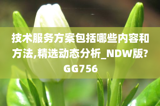 技术服务方案包括哪些内容和方法,精选动态分析_NDW版?GG756