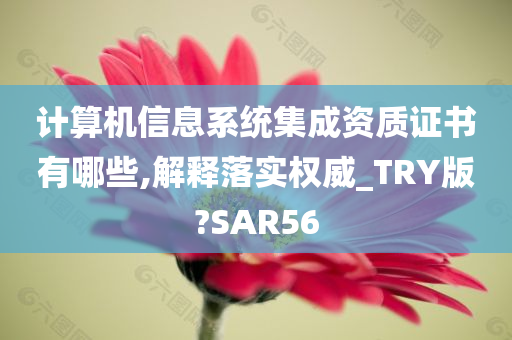 计算机信息系统集成资质证书有哪些,解释落实权威_TRY版?SAR56