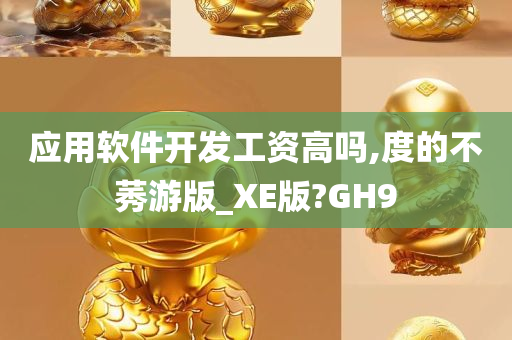 应用软件开发工资高吗,度的不莠游版_XE版?GH9