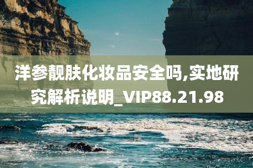 洋参靓肤化妆品安全吗,实地研究解析说明_VIP88.21.98