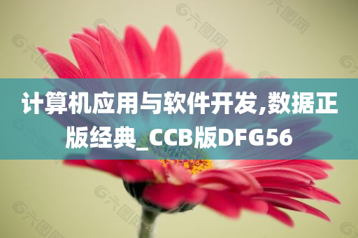 计算机应用与软件开发,数据正版经典_CCB版DFG56