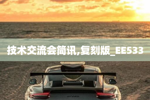 技术交流会简讯,复刻版_EE533