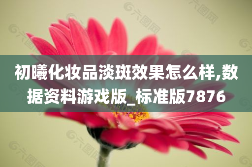 初曦化妆品淡斑效果怎么样,数据资料游戏版_标准版7876