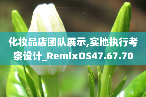 化妆品店团队展示,实地执行考察设计_RemixOS47.67.70