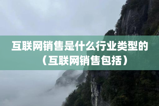 互联网销售是什么行业类型的（互联网销售包括）