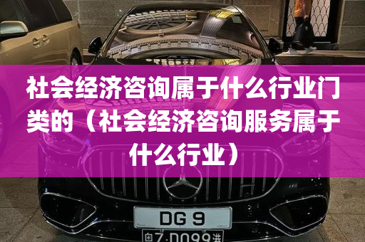 社会经济咨询属于什么行业门类的（社会经济咨询服务属于什么行业）