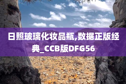 日照玻璃化妆品瓶,数据正版经典_CCB版DFG56