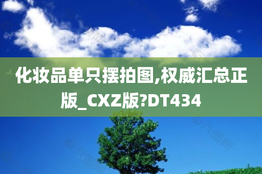 化妆品单只摆拍图,权威汇总正版_CXZ版?DT434